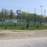 IMG_8137