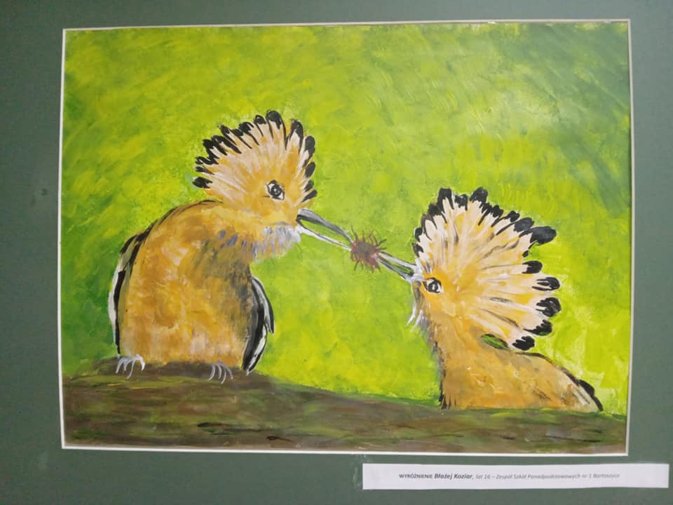 336553111_245173988014460_4165451886593768035_n