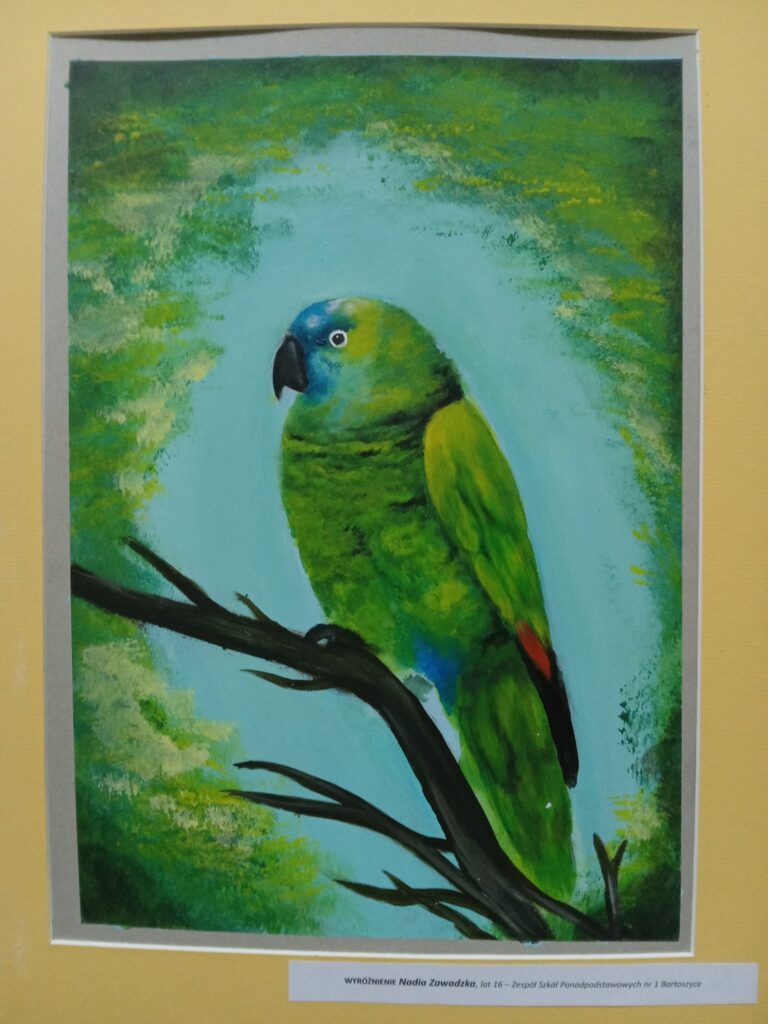 336680695_244325464720155_7244547256226075739_n