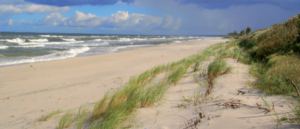 Screenshot_20230613-103857-318~2